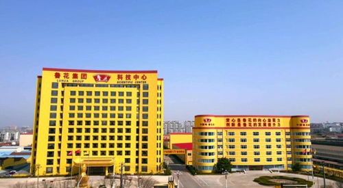 40年如一日,魯花以品質書寫 國貨之光